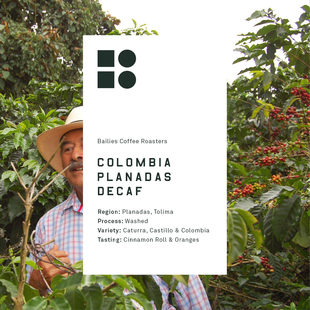  Coffee beans, roasted in Belfast, local roastery creating speciality coffee, blue bag, white label, colombia