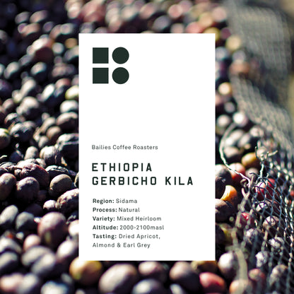 Ethiopia Gerbicho Kila Natural Single Origin